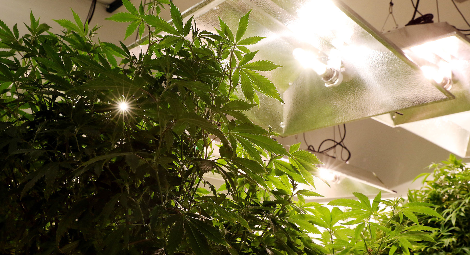 091216-In-Grow-Farms-012